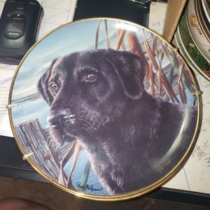 Mans best friend collectable